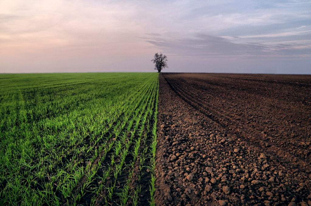 IMG_5426_fhdr2m.jpg_medium